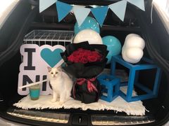 -lincat·猫舍(广州店)