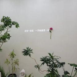 -AIST爱思特医疗美容医院
