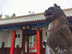 -关林