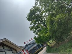 -南山渔宴