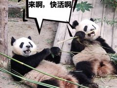 -上海野生动物园