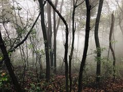 -西湖风景区十里琅珰-五云山