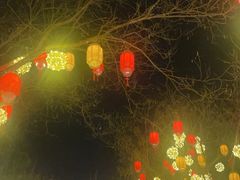-龙湖星悦荟(颐和店)