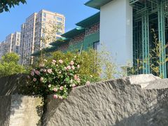 -杭州观成实验学校