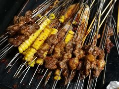 -碎怂烤肉(钟楼柳巷店)