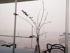 -游心咖啡(青山滨江店)