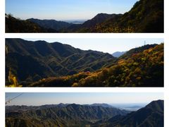 -大岭沟猕猴桃谷风景区