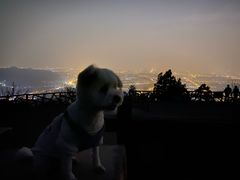 -鬼笑石后山停车场