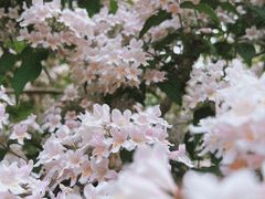 -中华世纪坛-停车场