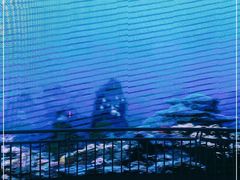 -芜湖新华联大白鲸海洋公园