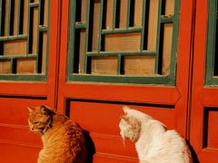 -晋阳饭庄(虎坊桥店)