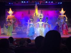 -金东尼人妖秀