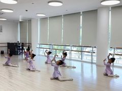 -小荧星艺校(浦东中环分校)