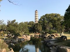 -江心屿景区