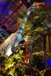 -恐龙探索乐园(磁器口店)