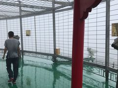 -龙塔