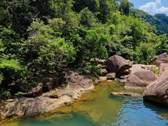 -广州白江湖森林公园