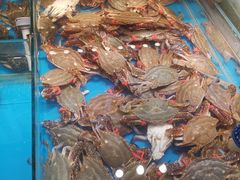 -必点海鲜·鲅鱼水饺(鞍山西道店)
