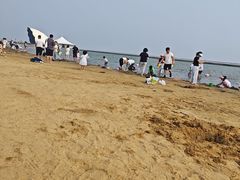 -碧海金沙