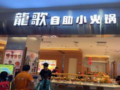 -龍歌自助小火锅(市南金茂湾店)