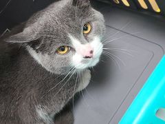 -宠福鑫康馨动物医院·骨科·眼科