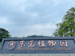 -东莞植物园