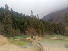 -黄龙山原始森林景区