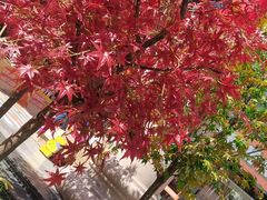 -西北轻工批发市场