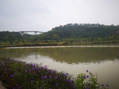 -飞凤山奥体公园