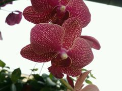 -武清南湖绿博园