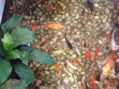 iphone_upload_pic-衡山汇·高级粤菜(霄云路店)
