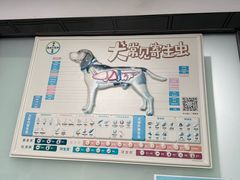 -半岛宠物医院24小时(科华中路店)