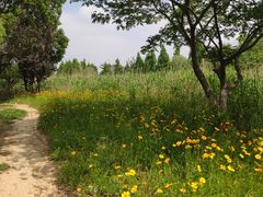 -苏州吴中太湖旅游区