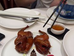 -千灯盛汇·头牌粤菜(致越优城店)