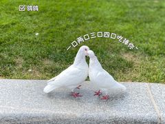 -新碧水留香新桑拿