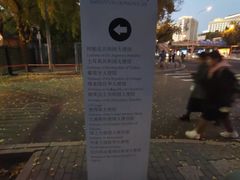 -三里屯东五街银杏大道