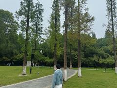 -习家池