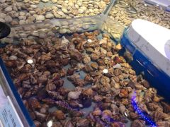 -澜悦港海鲜体验主题餐厅