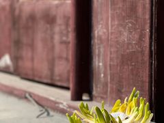 -上海白云观
