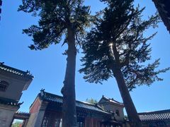 -圣莲山风景区