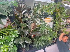 -gaga(深圳南山益田假日广场店)