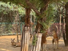 -济南野生动物世界