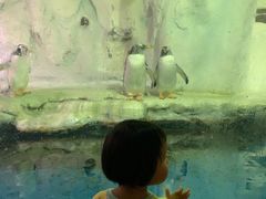 -南昌海洋公园