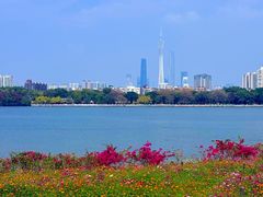 -海珠湖公园