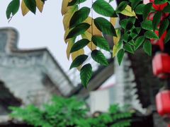 -黄埔古港