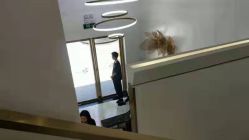 -YESIDO椰岛造型