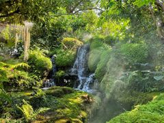 -Chom Cafe and Restaurant