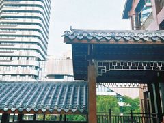 -成都市活水公园