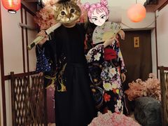 -作幺探案馆·剧本杀实景搜证