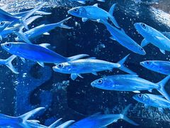 -波塞冬旅游度假区